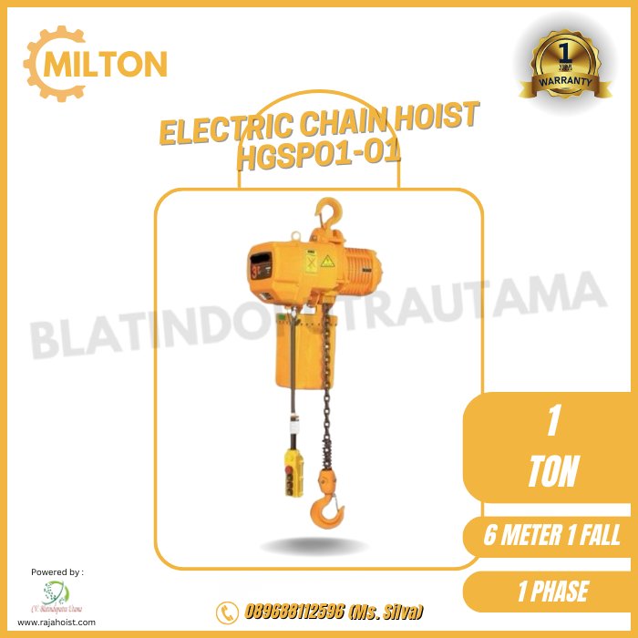 Electric Chain Hoist 1 Ton