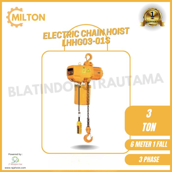 Electric Chain Hoist 3 Ton